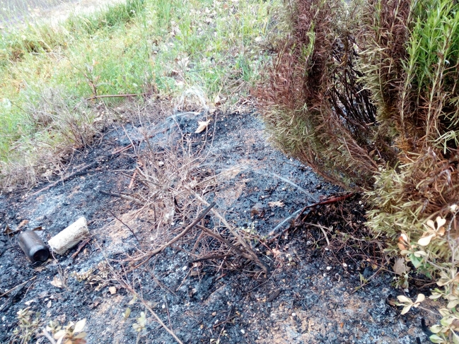 Un grupo de ''bárbaros'' prende fuego en los jardines de San Roque