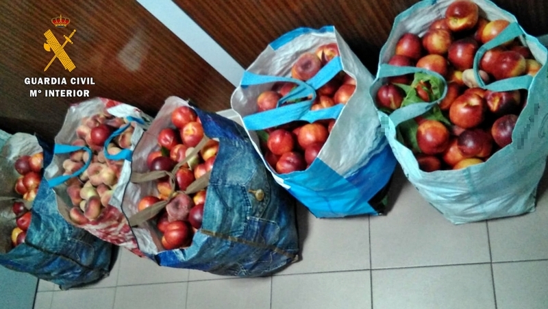 La Guardia Civil sorprende a dos vecinos de Badajoz con 100 kg de fruta que acababan de sustraer