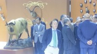 Feciex 2012: Inauguración
Clic para ampliar imagen