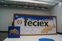 Feciex 2012: Stands de la feria
Clic para ampliar imagen