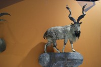 Feciex 2012: Exposición Montañas de los Cinco Continentes
Clic para ampliar imagen