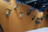Feciex 2012: Exposición Montañas de los Cinco Continentes
Clic para ampliar imagen