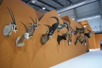 Feciex 2012: Exposición Montañas de los Cinco Continentes
Clic para ampliar imagen