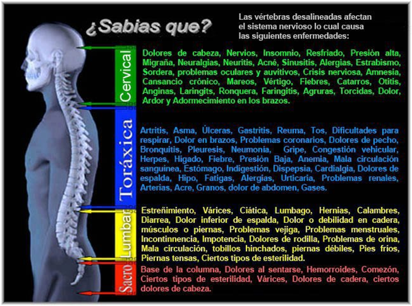 Varicocele grado 3 fertilidad