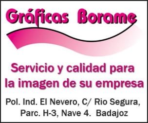 GRÁFICAS BORAME