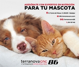 Terranova TNC86