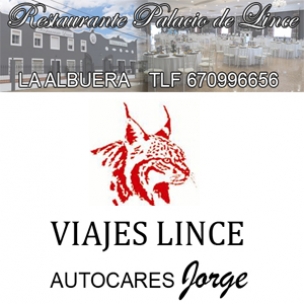 VIAJES LINCE