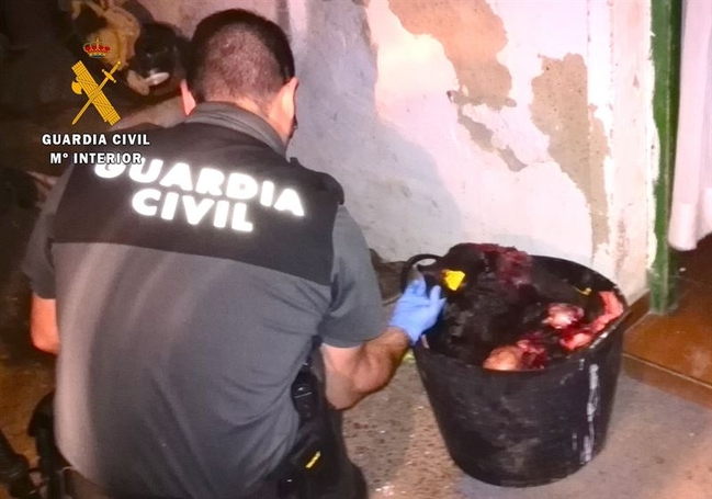 Detenidos dos matriculados acusados de robar y descuartizar cerdos en una explotación ganadera de Badajoz