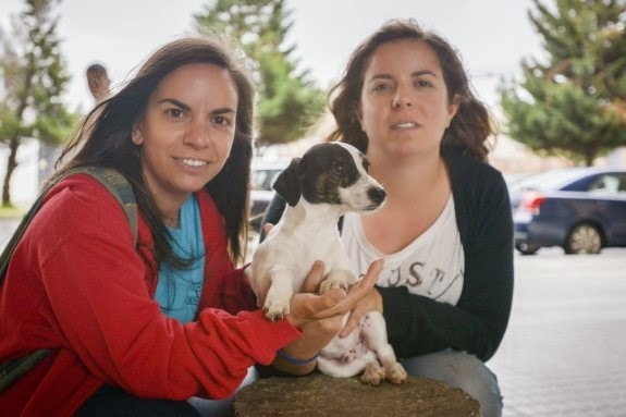 SOS Perrera Badajoz continuará su labor de voluntariado en la perrera por el bien de los animales pero pide diálogo
