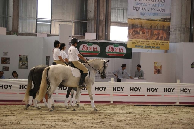 Caja Badajoz patrocina el Trofeo de Salto de Caballo en Ecuextre 2014 