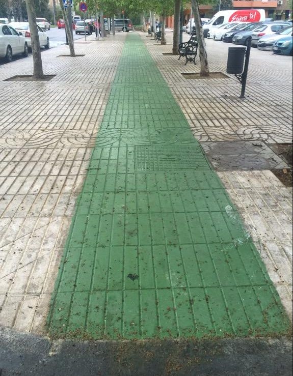 Cabezas pide la paralización del carril bici de la Avenida Sinforiano Madroñero