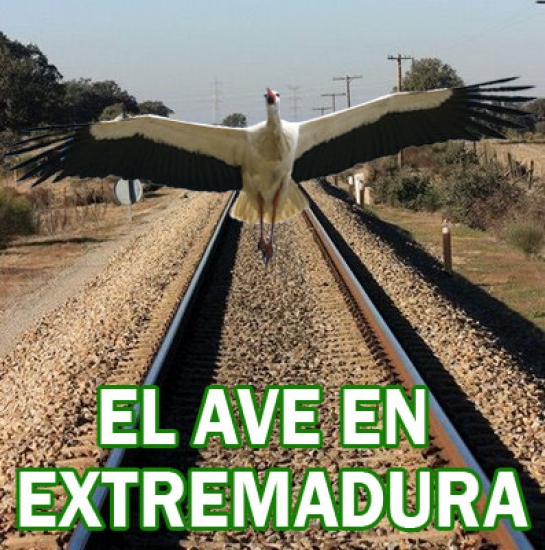 Con el AVE por montera