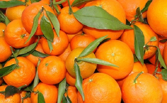 Intervenidos 840 kilos de patatas y naranjas que se vendían de forma ''ilegal'' en Badajoz