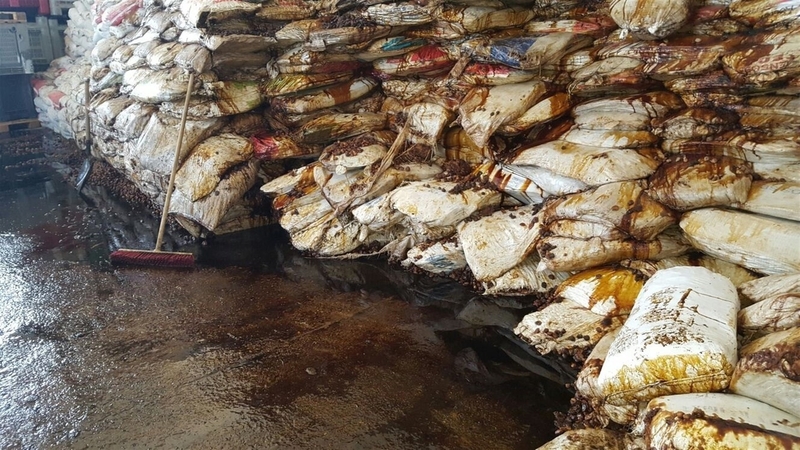 Intervienen en Badajoz 170 toneladas de higos en mal estado destinados a transformación para consumo humano