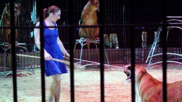 García-Borruel propone que Badajoz prohíba los espectáculos de circo con animales a partir de 2018