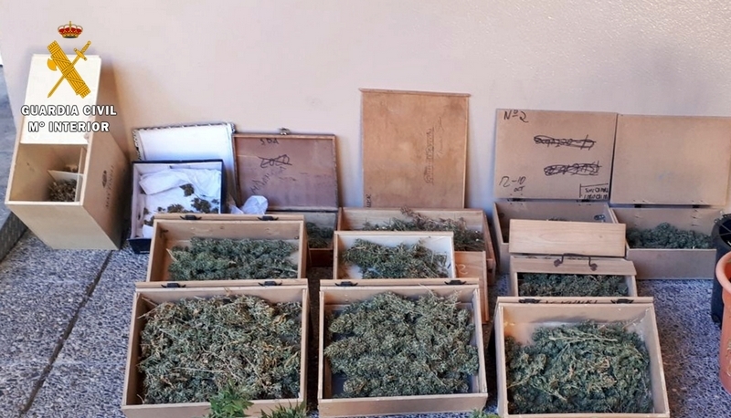 Detenido un vecino de Badajoz por usar su vivienda como supuesto punto de cultivo y secadero de marihuana
