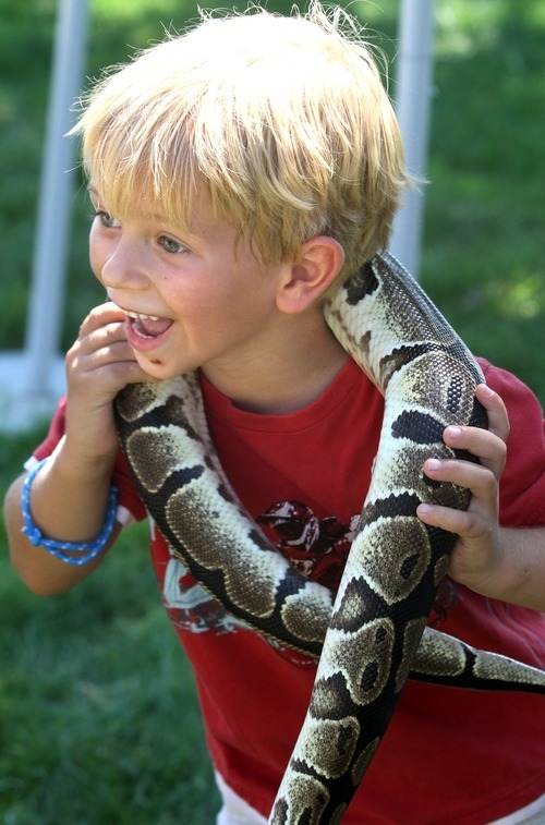 Taller para niños ''Cuidadores de serpientes por un día'' 