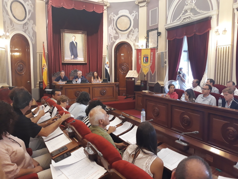 El pleno de Badajoz aprueba por unanimidad instar a la Junta el asfaltado ''urgente'' de la avenida Reina Sofía