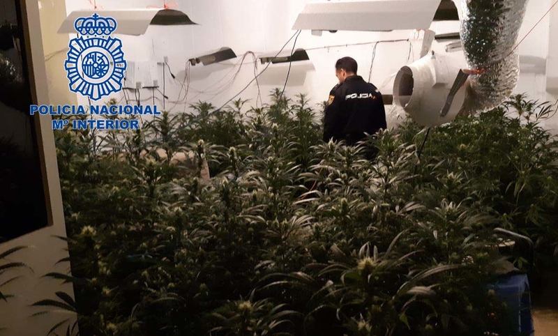 La Policía Nacional desmantela una plantación ''indoor'' de marihuana