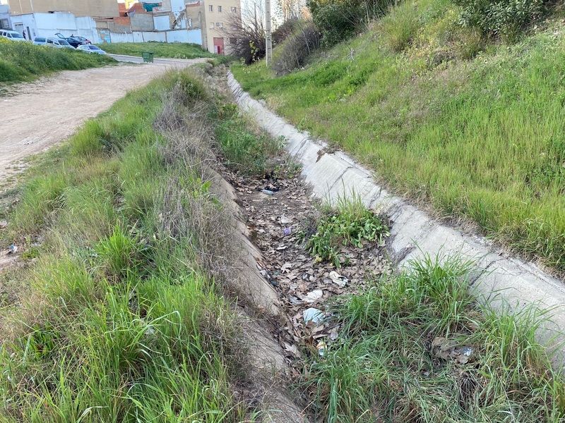 Vecinos del Cerro piden desbrozar un regato de 250 metros entre el Rivillas y sus casas