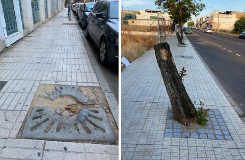 El PSOE exige que no haya un alcorque sin árbol en la ciudad a finales de año