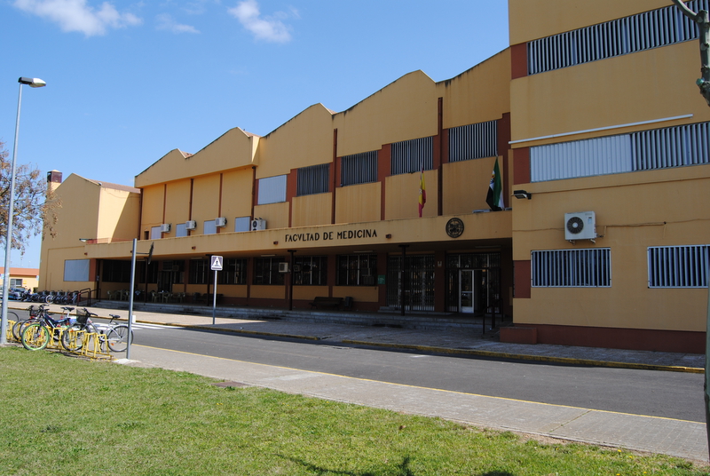 El Consejo de Gobierno acuerda contratar las obras para construir en Badajoz la nueva Facultad de Medicina