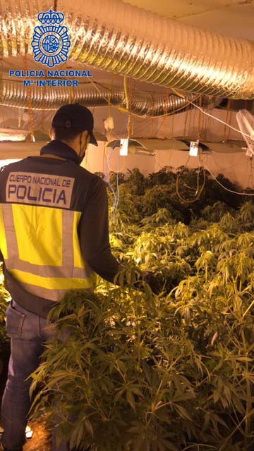 La Policía Nacional detiene a los responsables de una plantación ''indoor'' de marihuana 