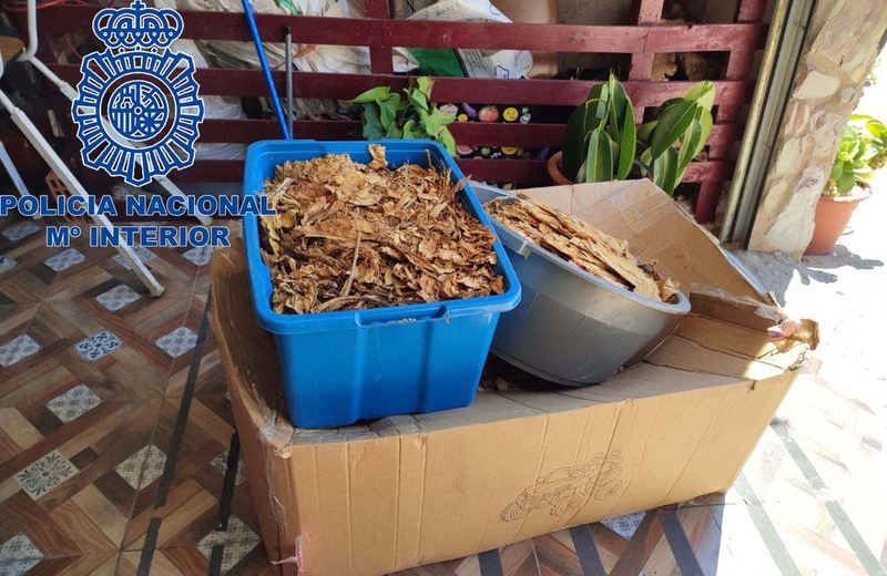Polica Nacional desmantela una plantacin de marihuana con ms de 8 kilogramos de la sustancia