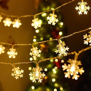 En encendido de luces llegarÃ¡ esta tarde a las 18.30 horas