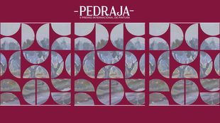 Seleccionadas las obras finalistas del II Premio Internacional de Pintura Francisco Pedraja MuÃ±oz