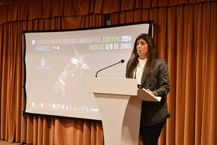 Presentado en SICAB el VIII Concurso MorfolÃ³gico de Caballo PRE de  EcuExtre 2024, Feria del Caballo y Feria del Toro