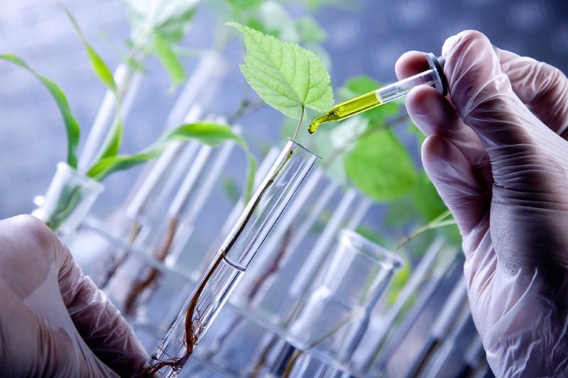 Un encuentro en Badajoz reúne a expertos en biotecnología para impulsar la innovación en sectores estratégicos