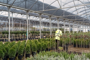 El Vivero Provincial de Badajoz acaba su campaña de invierno con 40.000 plantas suministradas y 800.000 euros de ahorro