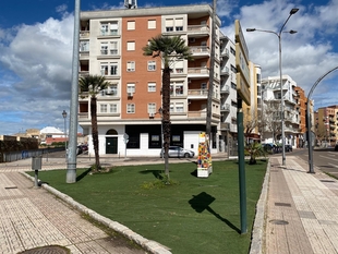 El PSOE de Badajoz, satisfecho de que el gobierno del PP 'reconozca el error' de ubicación de los postes de carril bici