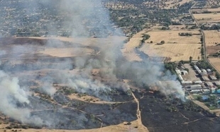 Efectivos del Plan Infoex trabajan en un incendio forestal en la zona de Las Vaguadas de Badajoz