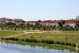 El Ayuntamiento advierte de los problemas que van a causar en el parque del río las actuaciones de la CHG