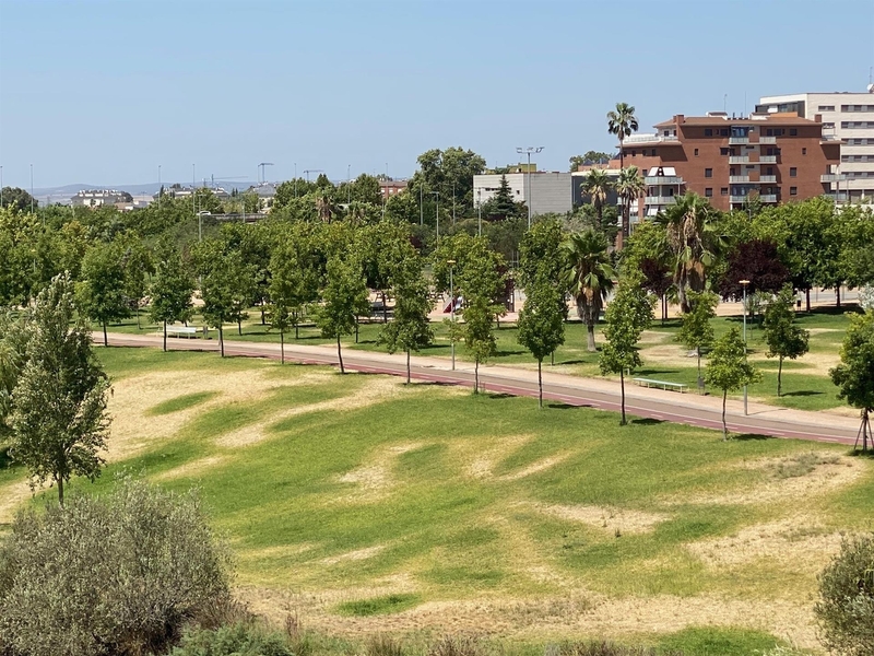 El PSOE de Badajoz ofrece su colaboración al ayuntamiento de cara al riego del parque del Guadiana