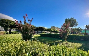 El Ayuntamiento invertirá 60.000 euros en la reposición de árboles y arbustos en parques y jardines