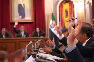 El Ayuntamiento se adhiere a la proposición de la Federación de Familias Numerosas para la concesión de la Medalla de Extremadura