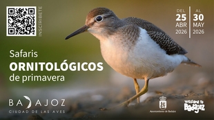 Safaris Ornitológicos por Badajoz en Primavera